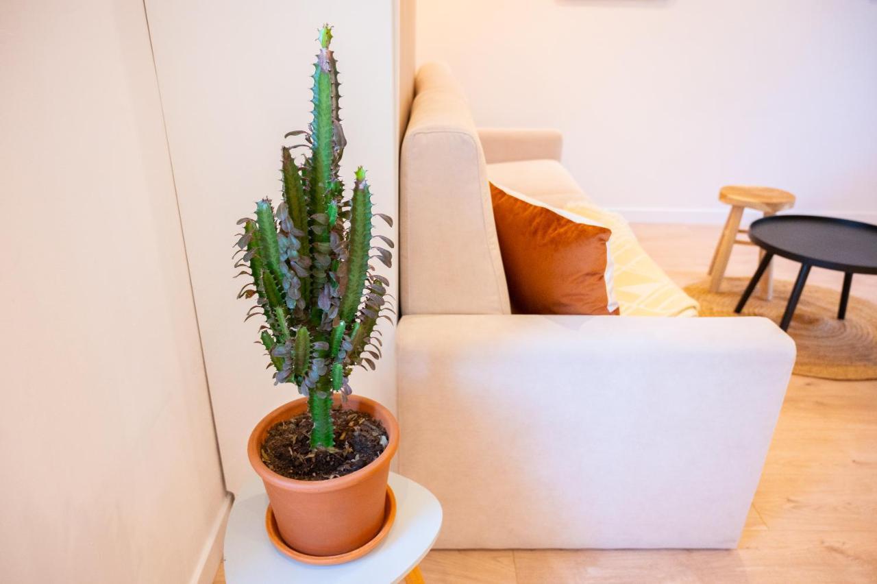 Appartement Cocooning Proche Mer 卡尔特汉 外观 照片