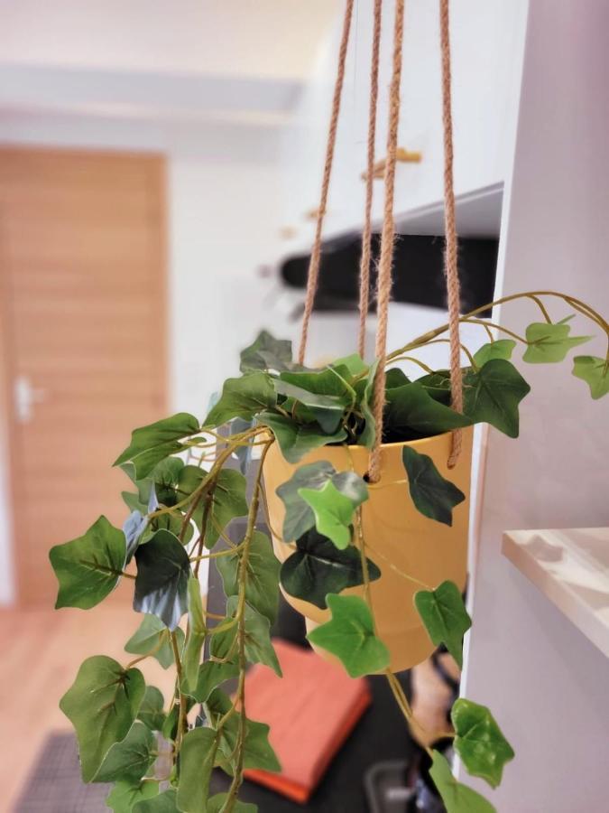 Appartement Cocooning Proche Mer 卡尔特汉 外观 照片